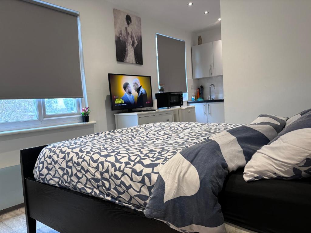 Havering atte BowerRomford Cosy Studio Flat的一间卧室配有一张床和一台电视