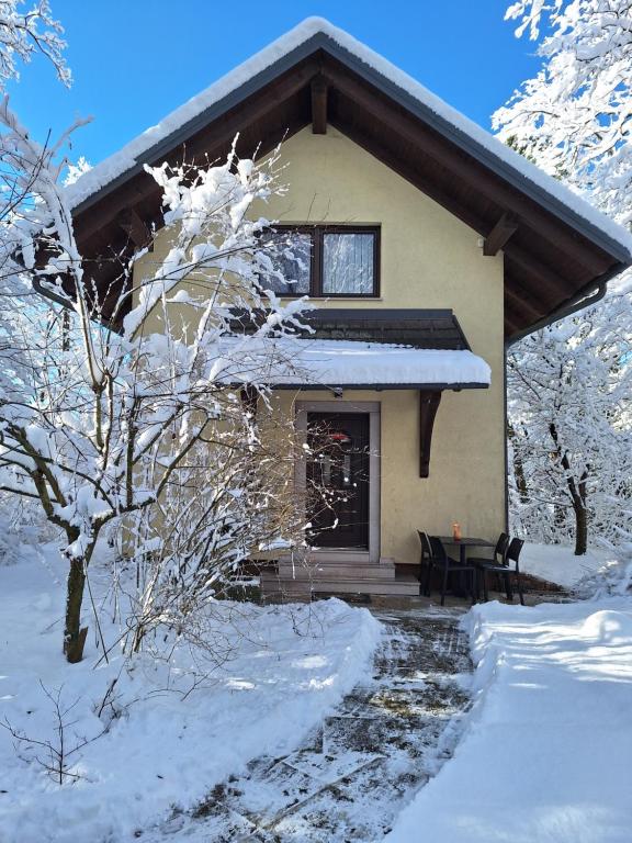 克拉尼Holiday Home Lemut的雪中的房子,有雪覆盖的树木