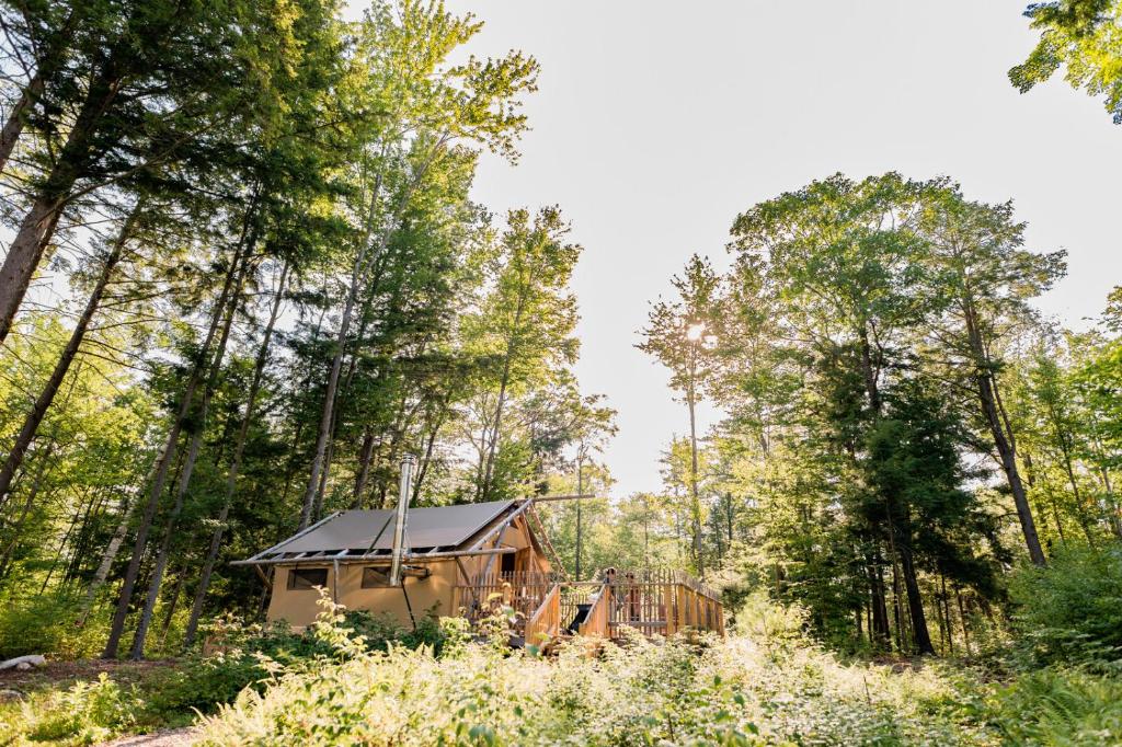 Lake LuzerneHuttopia Adirondacks的树林中的小小屋