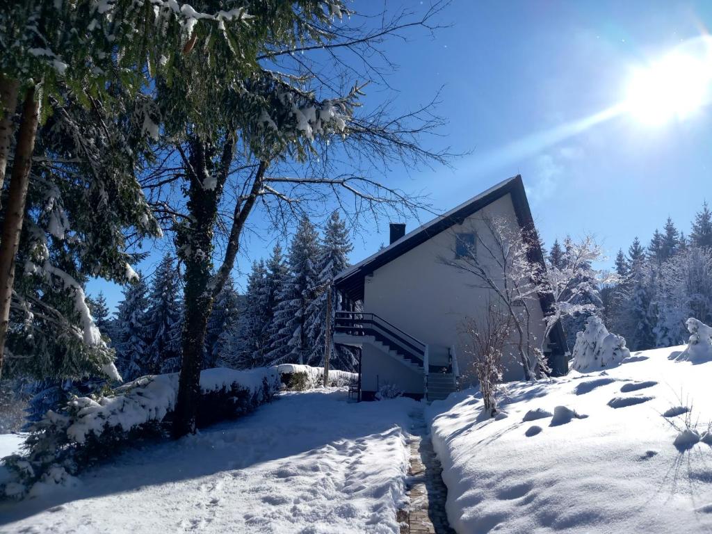 弗尔博夫斯科Studio apartman Singer的雪中的房子,有雪覆盖的树木