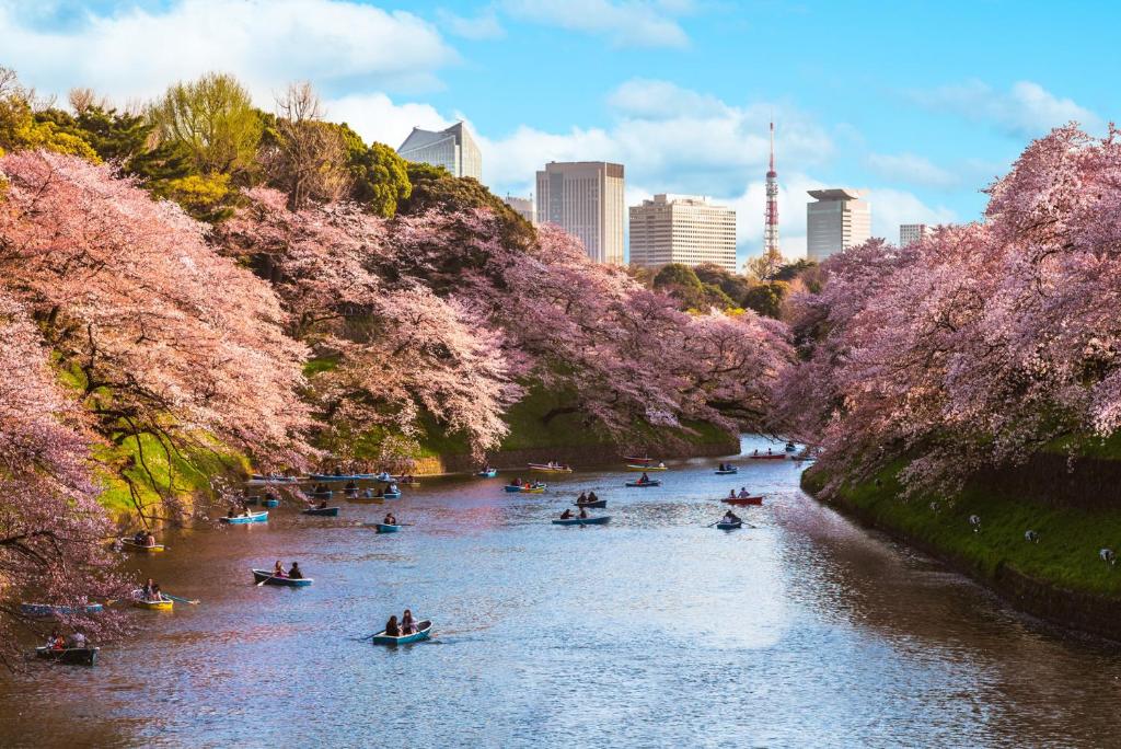东京四季度假酒店的河上种有樱桃树的人
