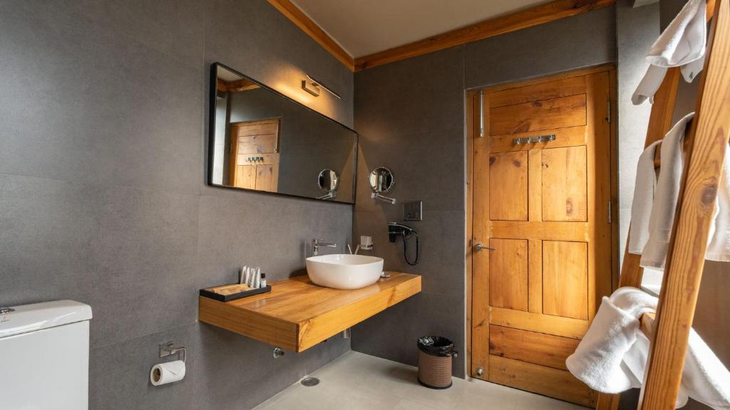 列城Chospa Hotel, Leh的一间带水槽和镜子的浴室