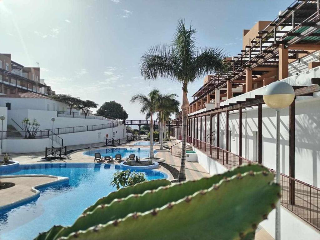 圣米格尔德阿沃纳Magec Holiday Tenerife的一个带游泳池和棕榈树的度假村