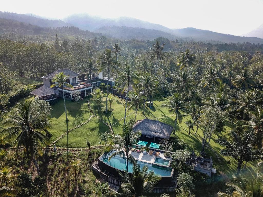 塔巴南帕拉姆别墅的棕榈树度假村的空中景致
