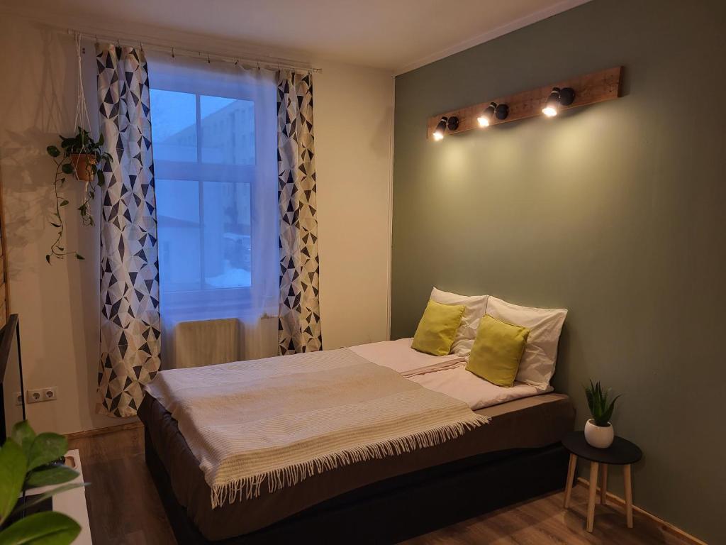 瓦尔加Old Town Apartment的一间卧室配有一张带绿色枕头的床和一扇窗户