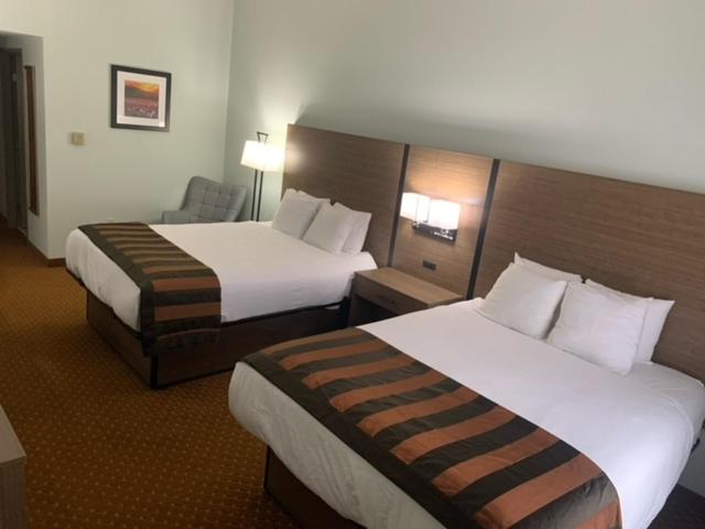 路易斯威尔路易斯维尔东温德姆集团温盖特酒店的酒店客房,配有两张床和椅子