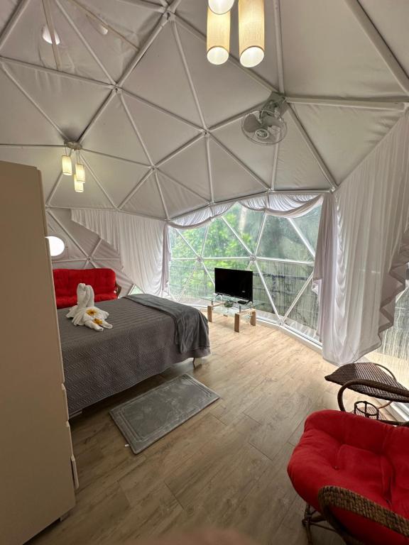 萨拉皮基Glamping Hope Garden的一间设有一张床的房间和帐篷内的电视