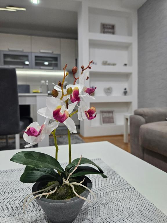 皮罗特Apartman Vukota Pirot的花瓶,桌子上放着白色粉红色的花