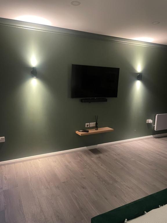 邓吉文Woodland lodge green room的客厅设有一台平面电视,位于绿色的墙壁上
