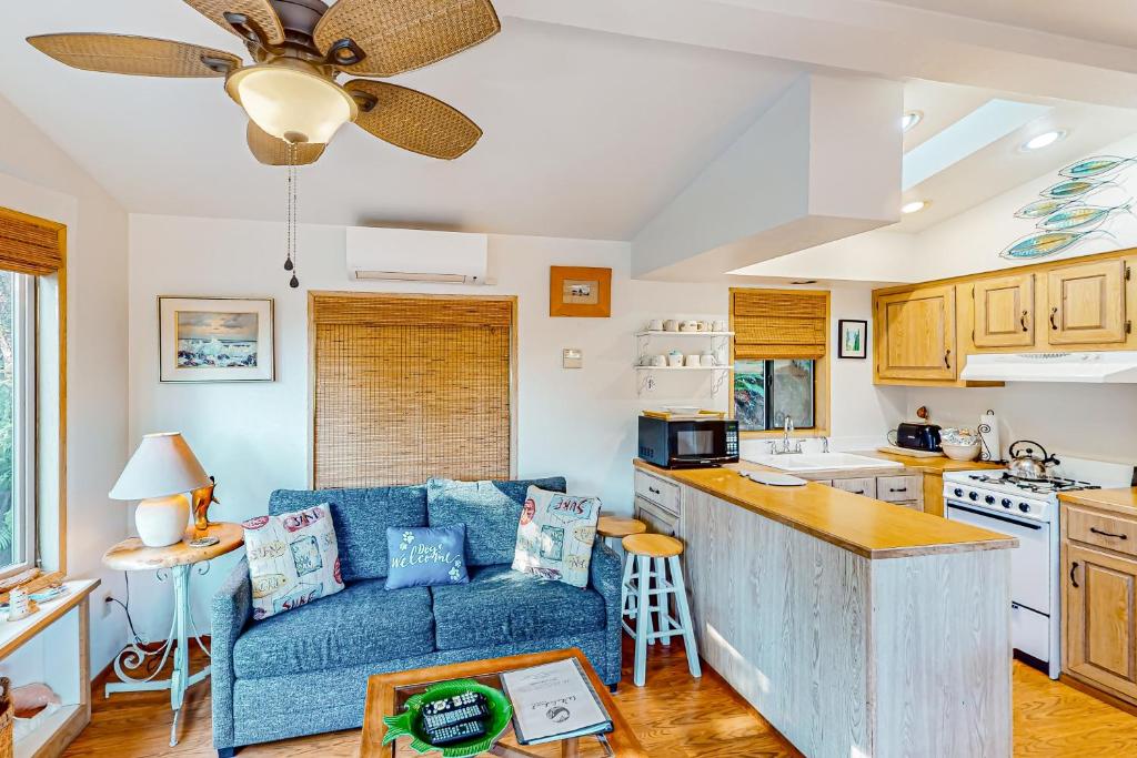 CarpentervilleWhimsical Whaleshead, OV10的一间带蓝色沙发的客厅和一间厨房