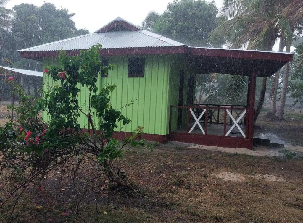 Naviti IslandYawekata Eco Still Bluewater Resort的一座绿色的建筑,有门在雨中