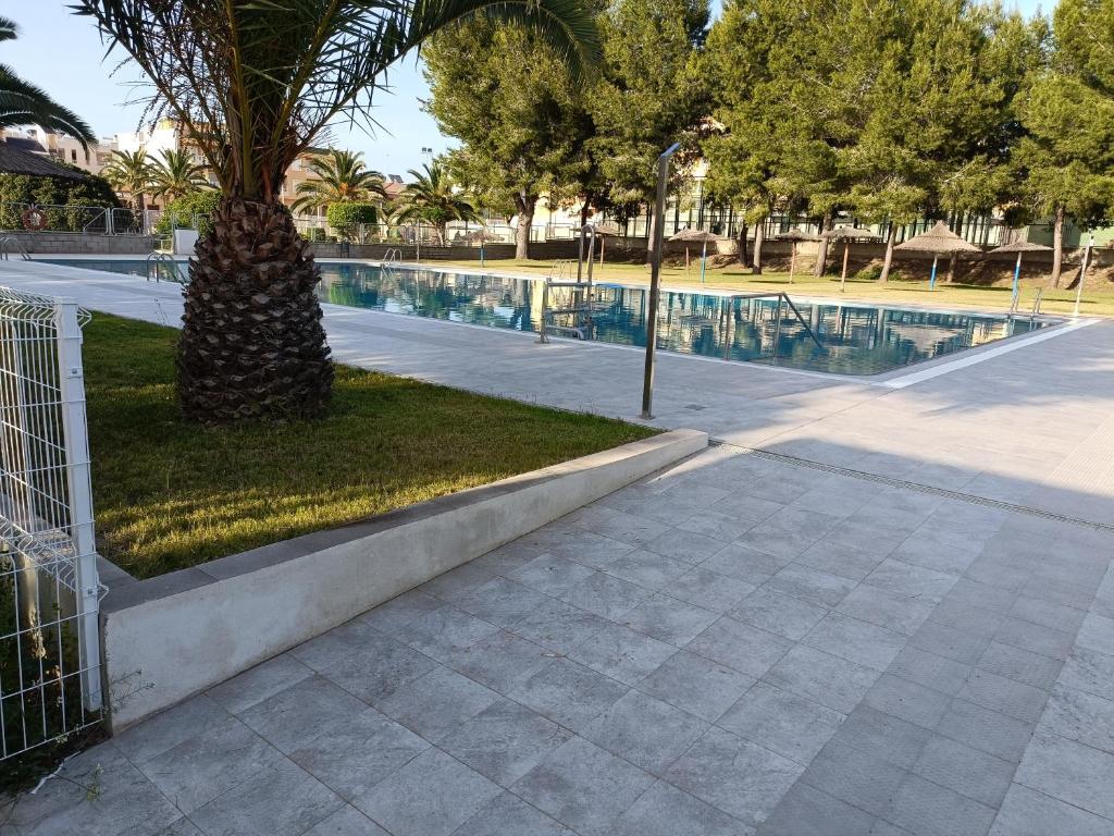 阿尔戈法Appartement avec piscine à Algorfa的游泳池旁的棕榈树
