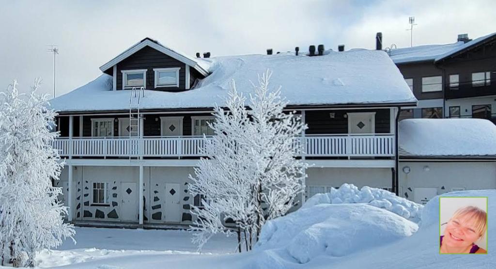 易拉斯加威Ylläs slope SareStar的雪覆盖着雪覆盖的树木