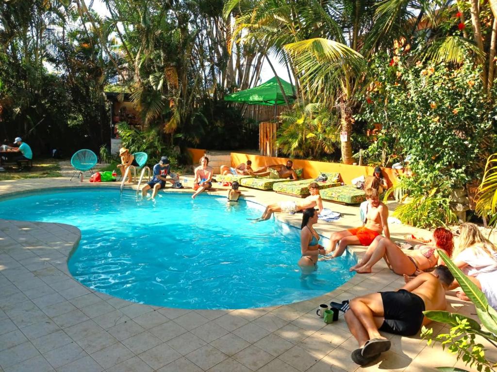 圣何塞哥斯达黎加背包客旅馆的一群人坐在游泳池里