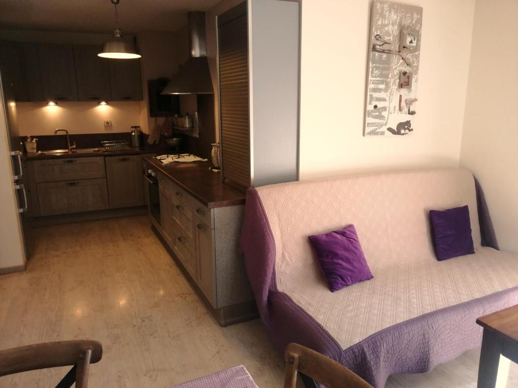 杜萨尔Lac d'Annecy T2 grand jardin的厨房配有带紫色枕头的沙发