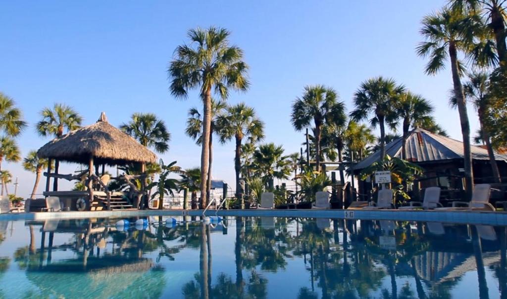 圣奥古斯丁海螺滨海度假村的棕榈树度假村的游泳池