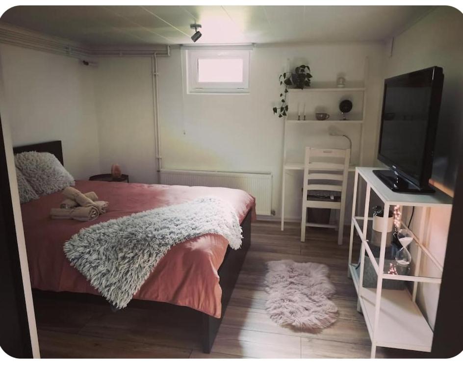 ÖsmoVila Ösmo的一间卧室配有一张床和一台平面电视