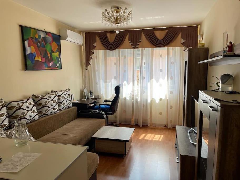 萨图马雷Apartament cu un dormitor / One bedroom apartment的客厅配有沙发和桌子