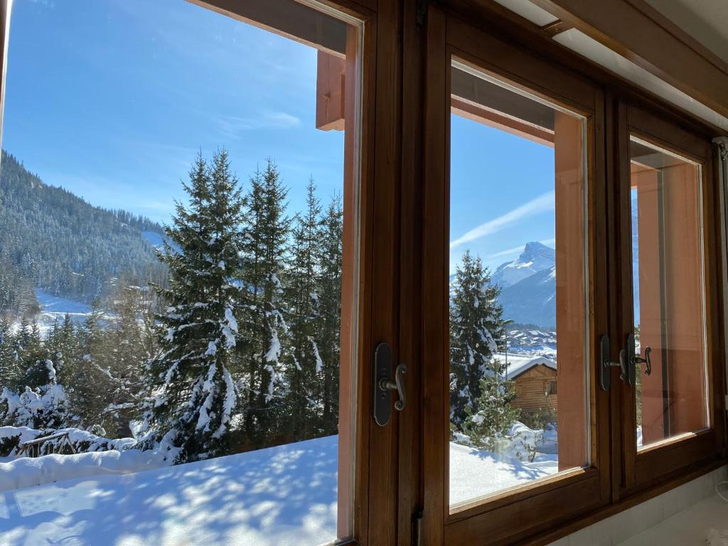雷加霍斯达哈施Les Grangettes 2 - DUPLEX - WIFI gratuite的享有白雪 ⁇ 山景的窗户