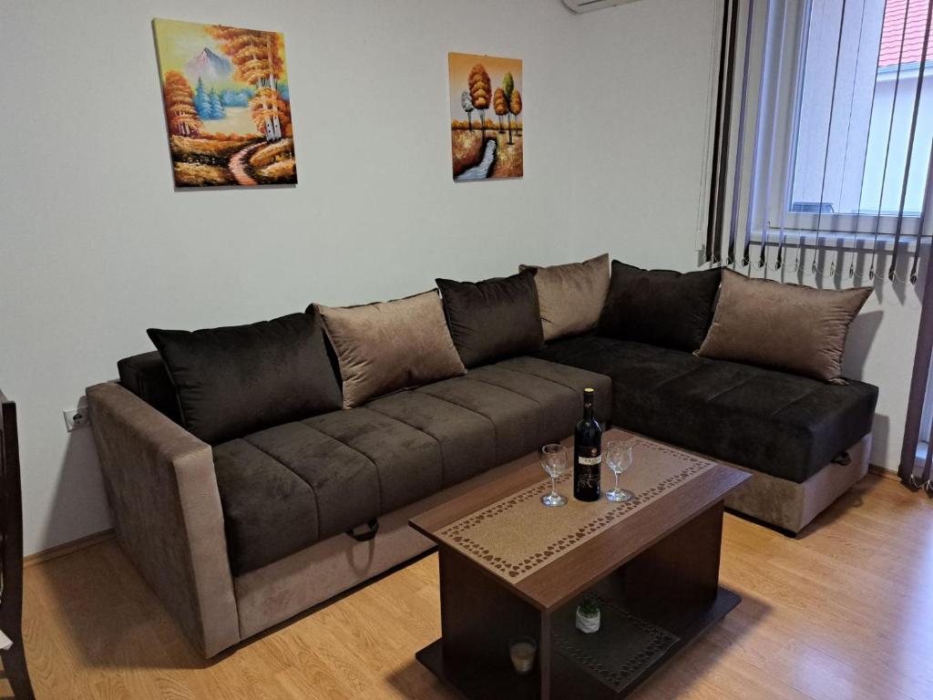索科矿泉村Apartman Andjela的客厅配有棕色沙发和桌子