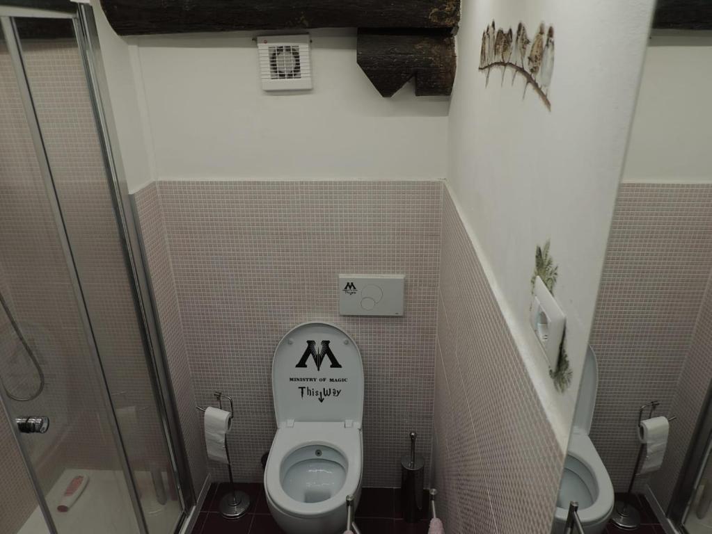 布拉恰诺Il Paiolo Incantato的一间位于摊位的卫生间浴室