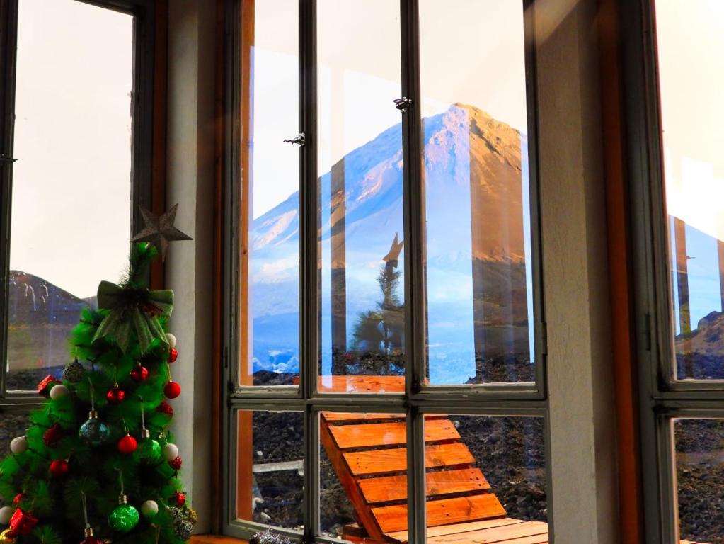 PortelaCasa Adriano & Filomena Montrond的山窗前的圣诞树