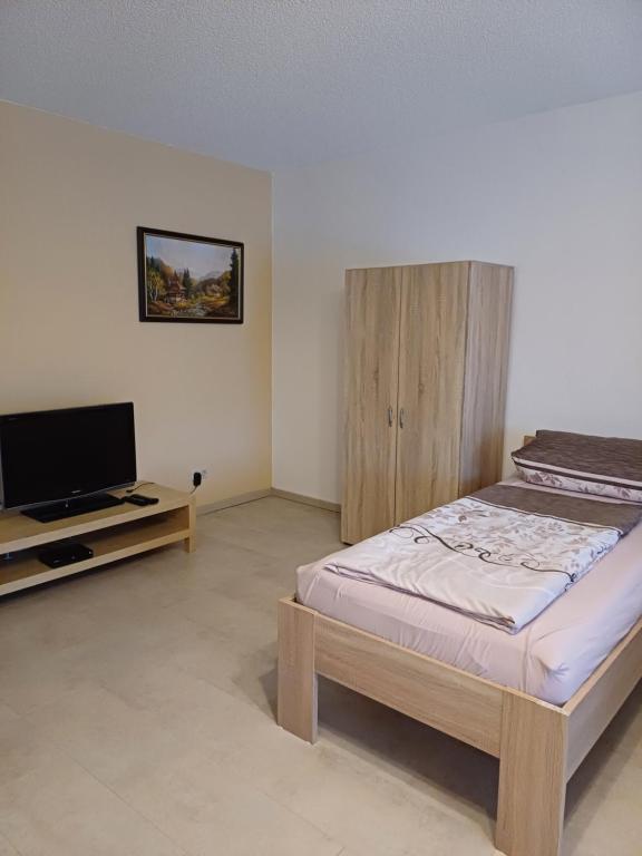 苏尔Thüringer Zimmer的一间卧室配有一张床和一台平面电视