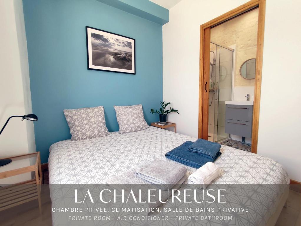 阿尔勒Chambres tranquilles proche centre ville的一间卧室设有一张床和蓝色的墙壁