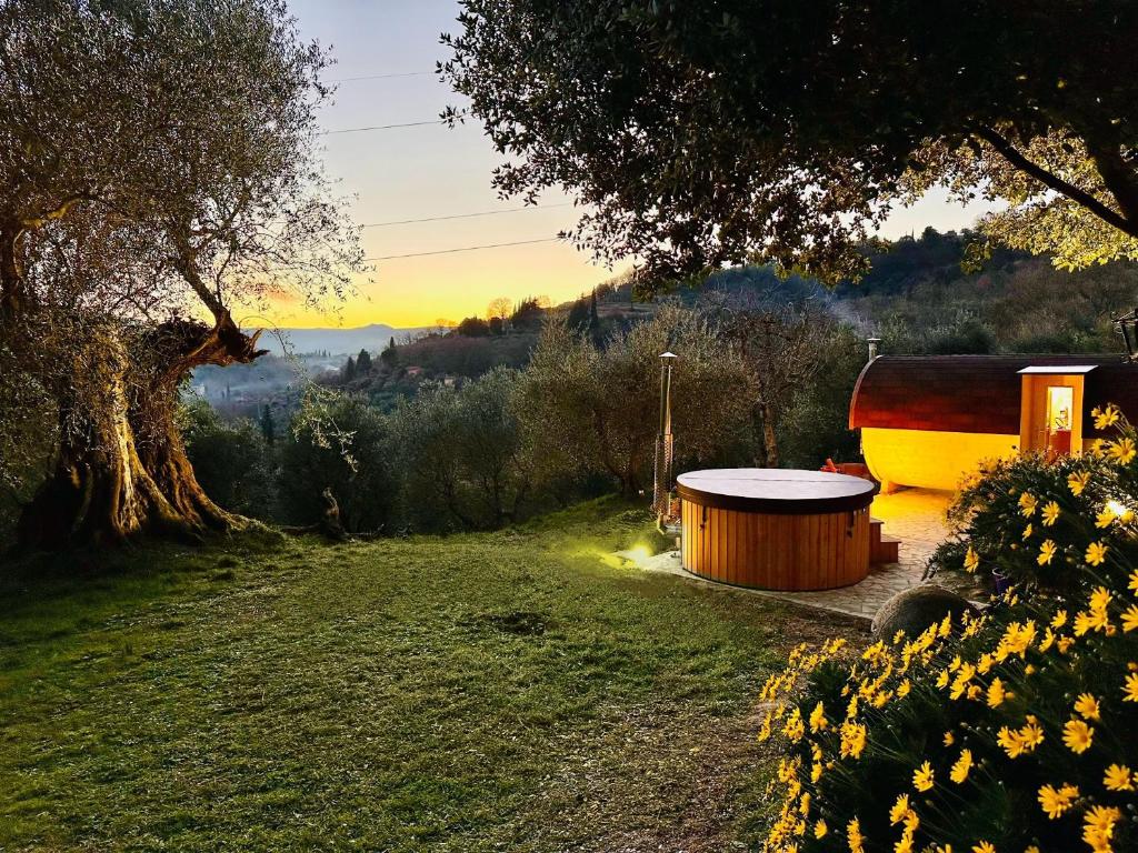 丘西Montebello degli Olivi的木浴缸,在田野上,有树