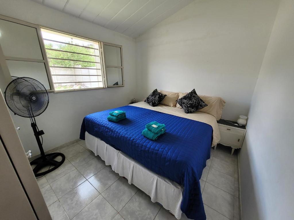 维拉卡洛斯帕兹Casa Carlos Paz a los pies de la montaña的一间卧室配有一张带蓝色床单的床和风扇