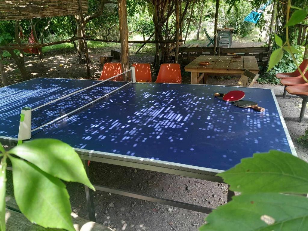 托雷德尔格雷科Brandito's的花园里的蓝色乒乓球桌