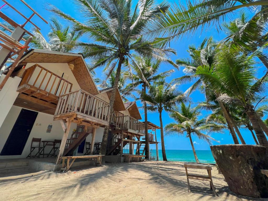 GubatPipa de Playa Resort Café的棕榈树和大海海滩上的度假屋