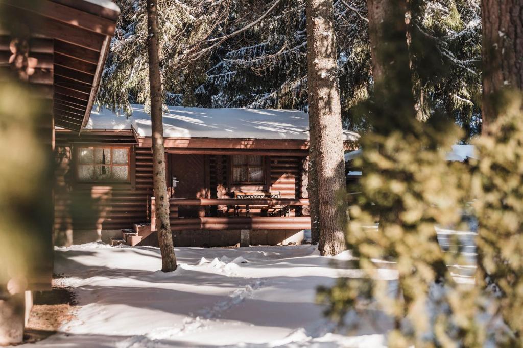 波罗维茨贾戈达马利纳别墅酒店的小木屋,雪地里设有野餐桌
