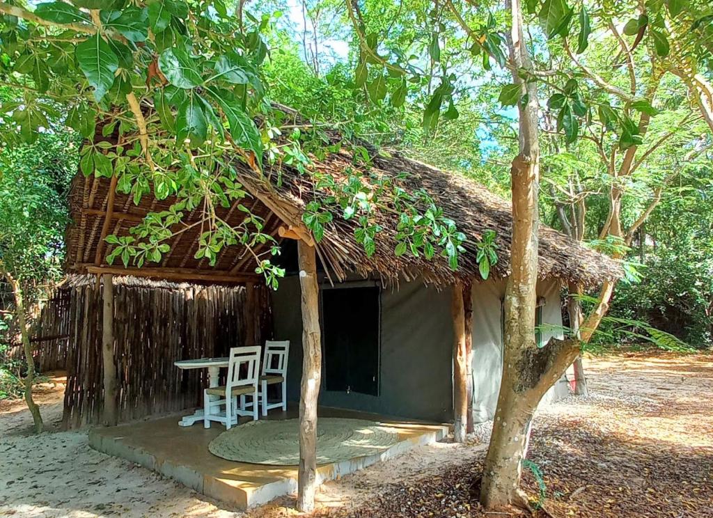 瓦塔穆Bamba Kofi Tented Camp的小屋前方设有桌椅的小小屋