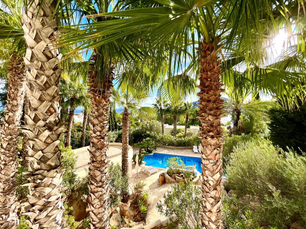 圣埃乌拉利亚Casa Grecia的棕榈树和游泳池