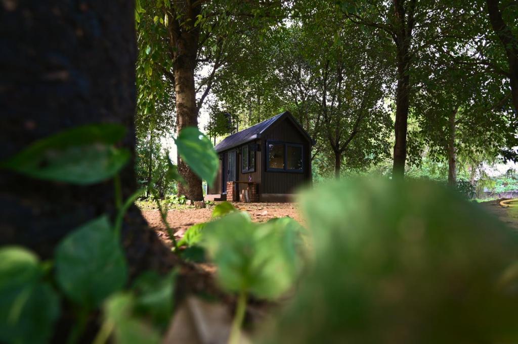 DhaujTenpy Tiny Enchanting Tintin at Sheilma Farm, NCR的树中间的一座黑色小房子