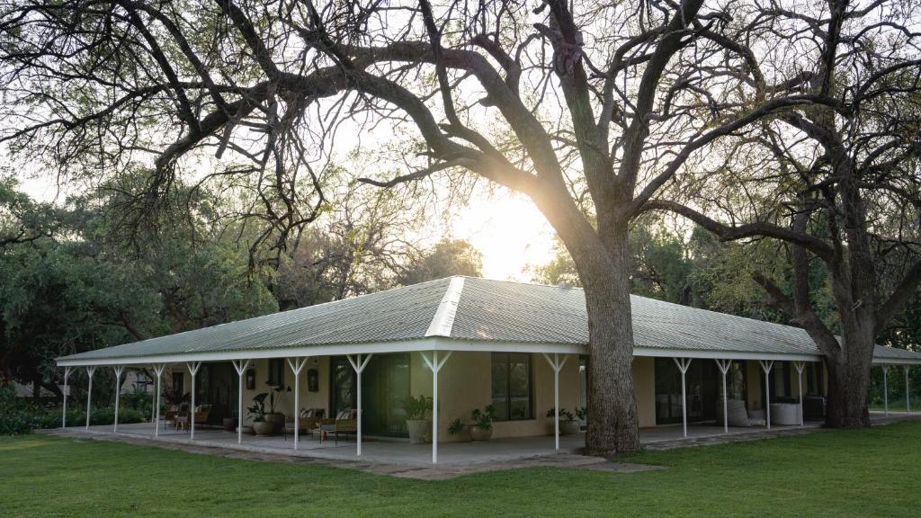 LentswelemoritiKolokolo Safari Home的田野里有一棵树的白色房子