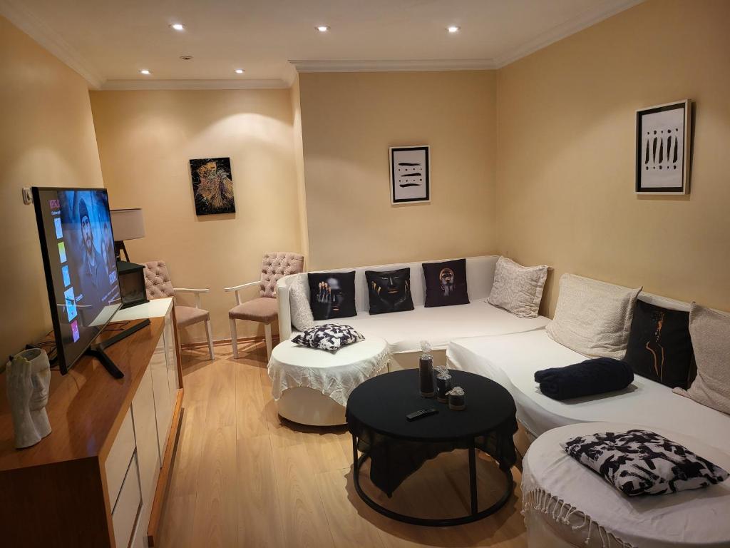 伊斯坦布尔Güzel daire的带沙发和电视的客厅