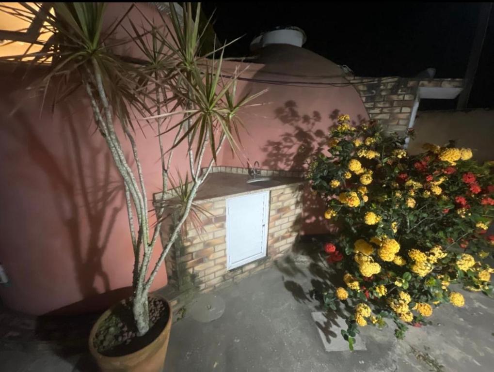 布希奥斯Cabana Bela Vista的砖墙旁的一大束鲜花