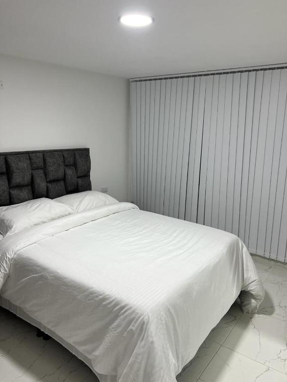 马尼萨莱斯AVENIDA SANTANDER EL TRIANGULO HABITACION 4的卧室配有一张白色大床