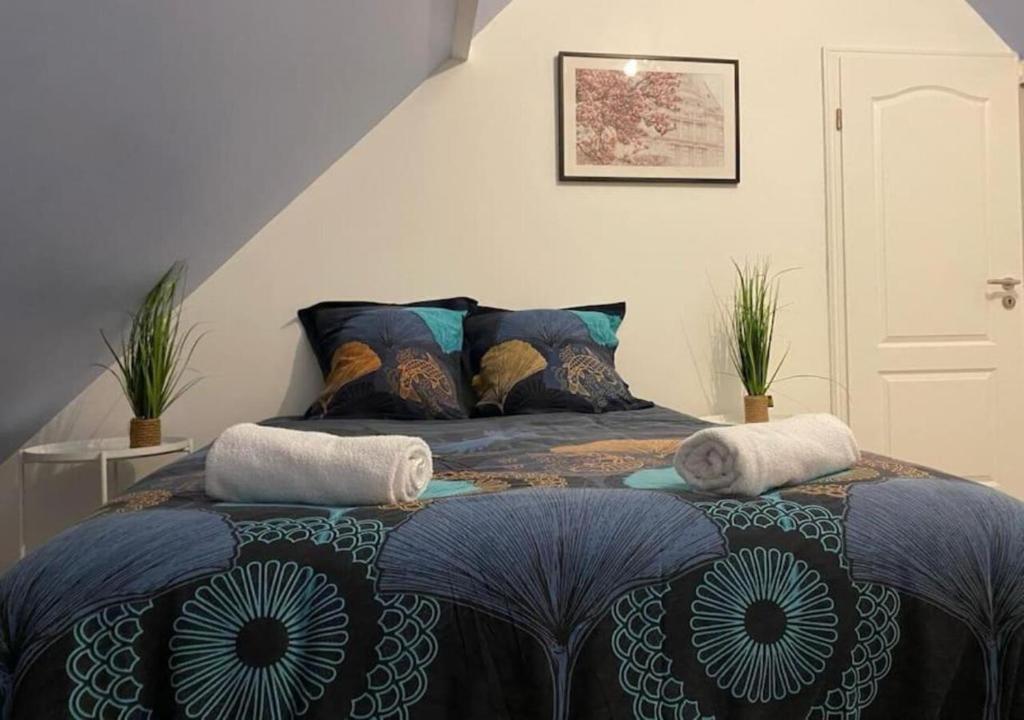 斯特拉斯堡Douce Escale的一间卧室配有带枕头的床
