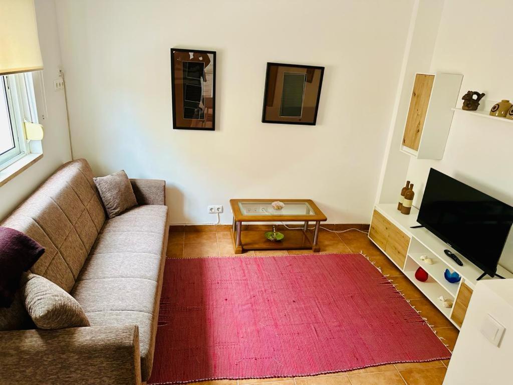 里斯本Sweet Sleep Apartment的带沙发和红色地毯的客厅