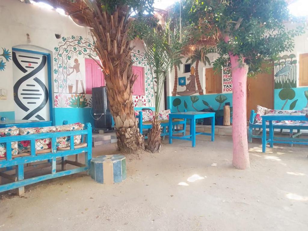 卢克索萨拉姆营地旅馆的一间蓝色长椅和一棵树的房间