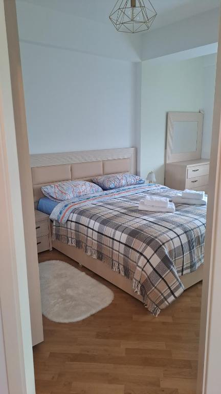 基希讷乌Аэропорт-Кишинев的一间卧室配有一张带毯子和地毯的床