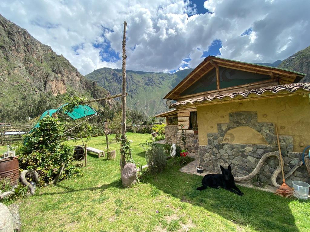 奥兰太坦波Cabaña del viajero.的一只黑猫躺在房子旁边的草上