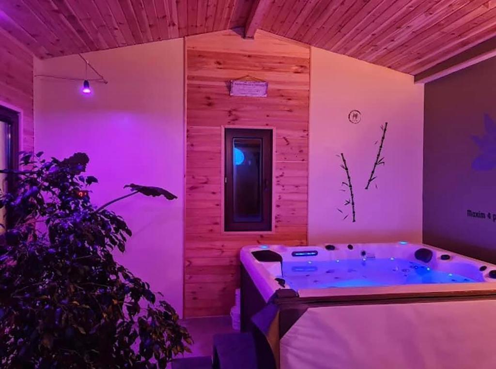 布朗La Maison des Rêves - Bran的一间带热水浴缸和植物的房间