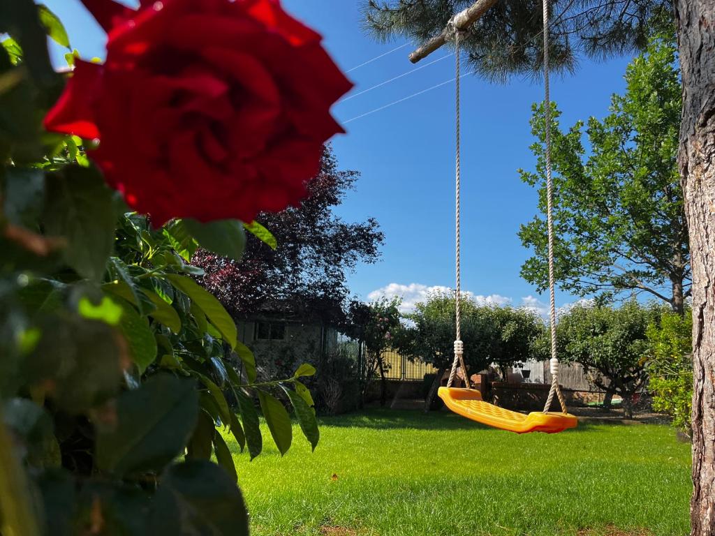 El Rinconcito de Cinderellana的两秋千在院子里,有红玫瑰