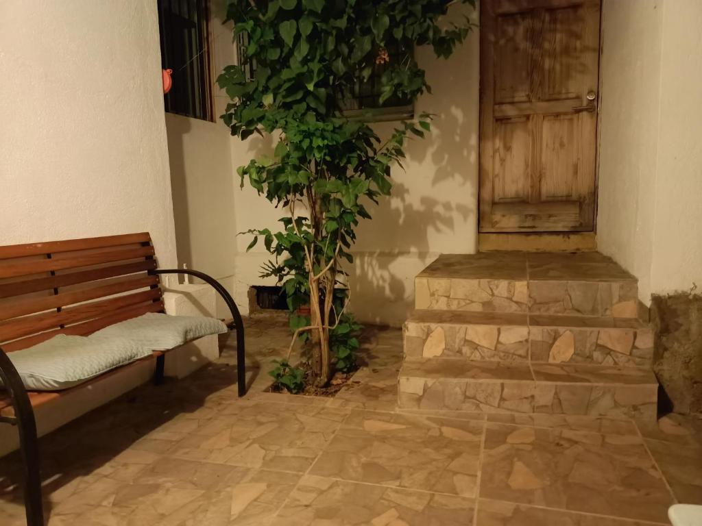 维纳德马Casa en Viña del Mar的门房里长着长凳和一棵树