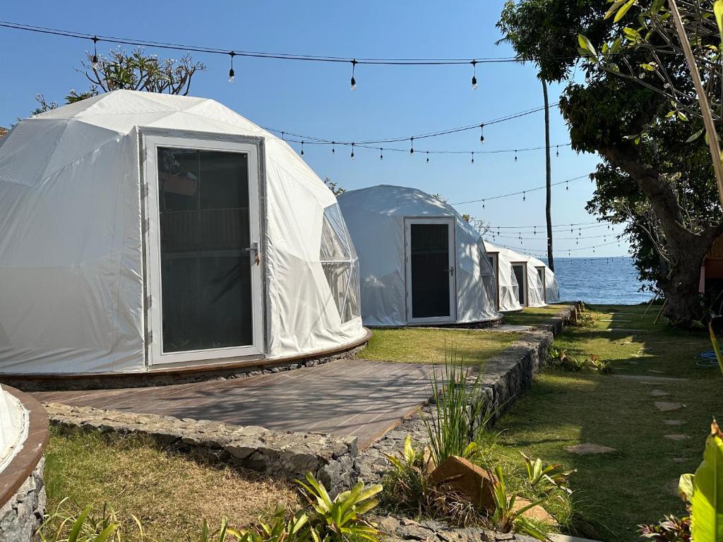 库布Glamping @ Pebbles & Fins的停泊在水边的一排帐篷