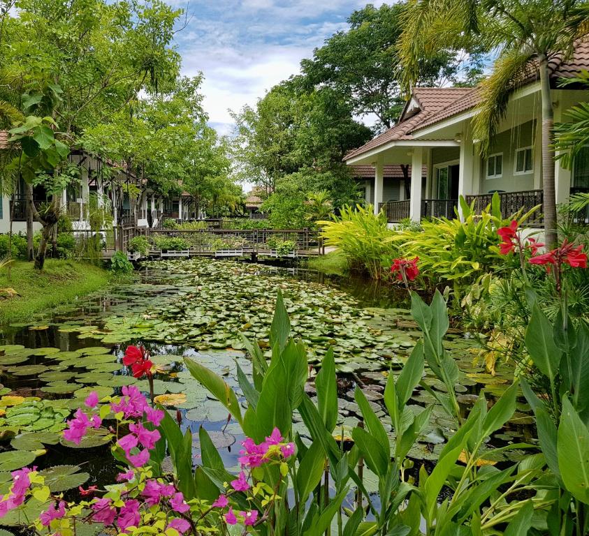 素可泰LE CHARME 素可泰度假酒店的花房前的池塘